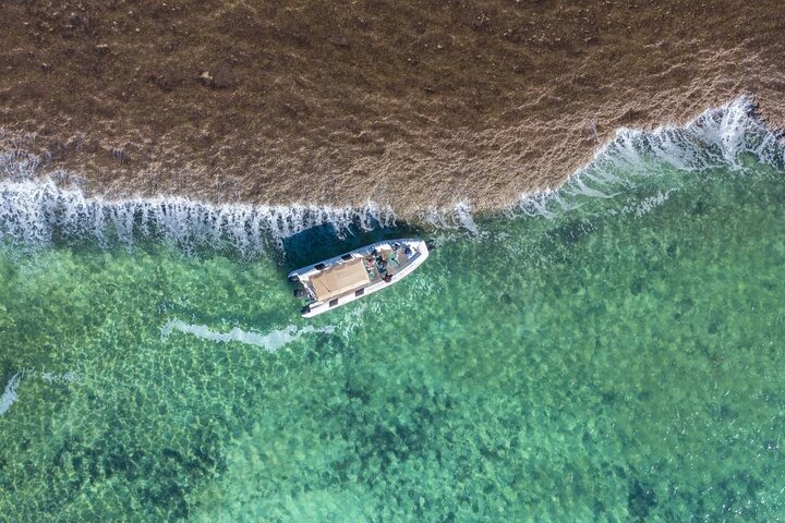 Cygnet Bay Sea Safari & Pearl Farm Tour Scenic Flight