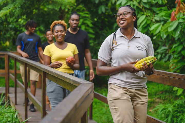 Project Chocolat Tree to Bar Tour at Hotel Chocolat Saint Lucia