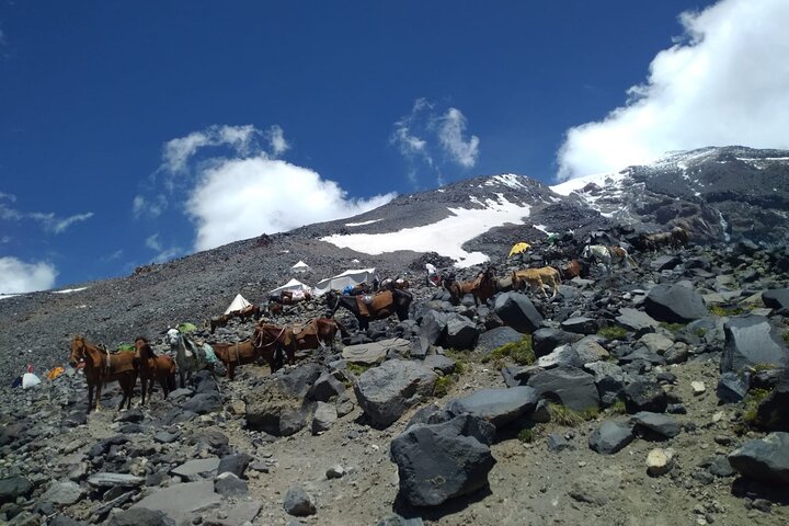 Trekking Mount Ararat Experience