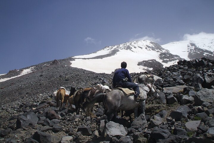 Trekking Mount Ararat Experience