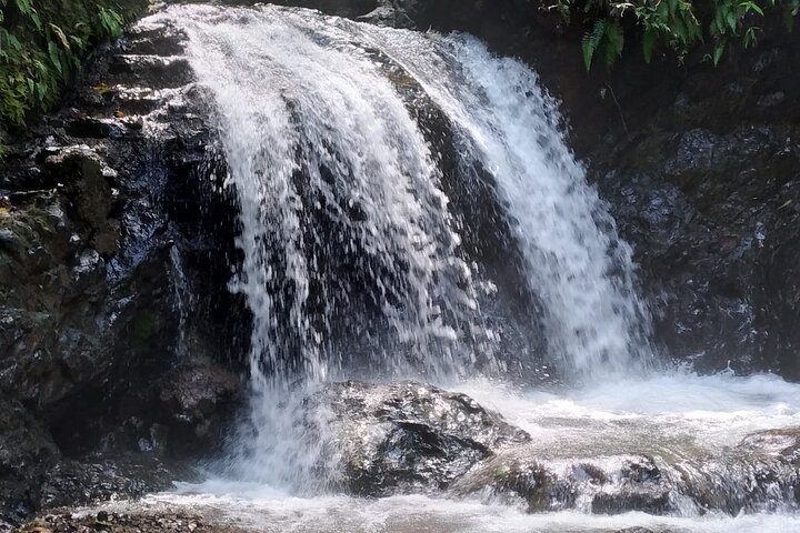 Hike 10 waterfalls in Jaco lunch included