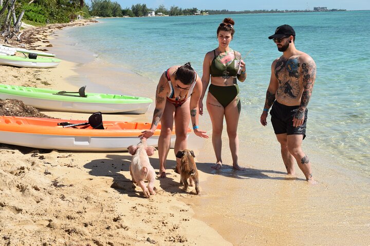 Swimming with Pigs in Nassau, Transportation Included