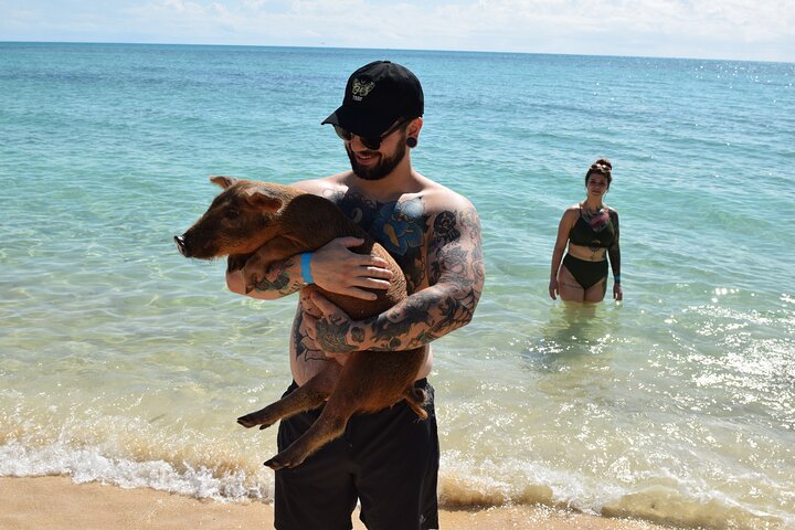 Swimming with Pigs in Nassau, Transportation Included