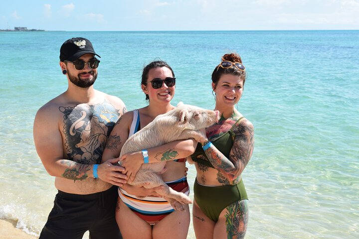 Swimming with Pigs in Nassau, Transportation Included