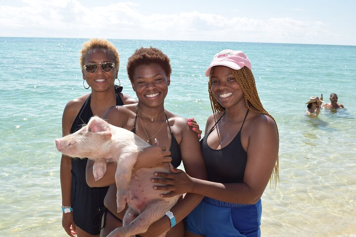 Swimming with Pigs in Nassau, Transportation Included