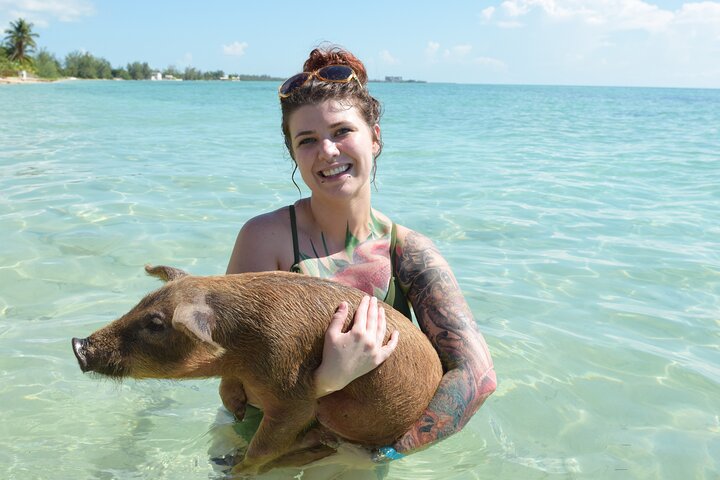 Swimming with Pigs in Nassau, Transportation Included