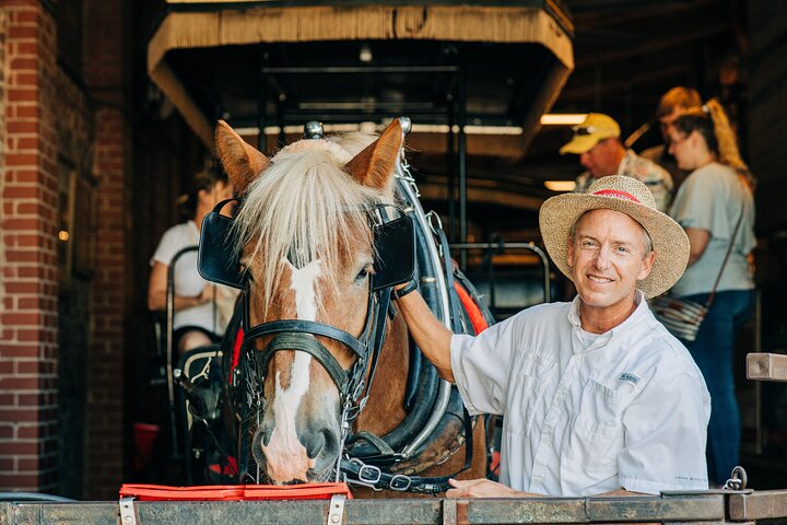 Charleston’s Old South Carriage Historic Horse & Carriage Tour
