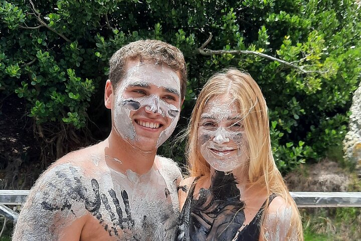 Sulphur Springs Mud Bath and Toraille Waterfall Tour with Creole Lunch