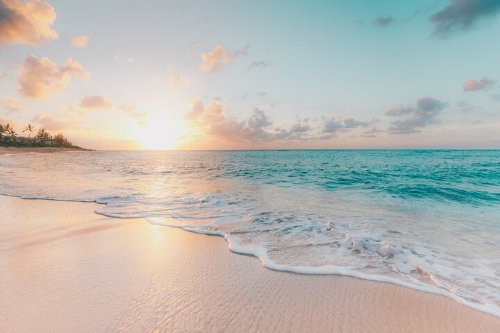 Praslin & La Digue (Shared Day Trip)