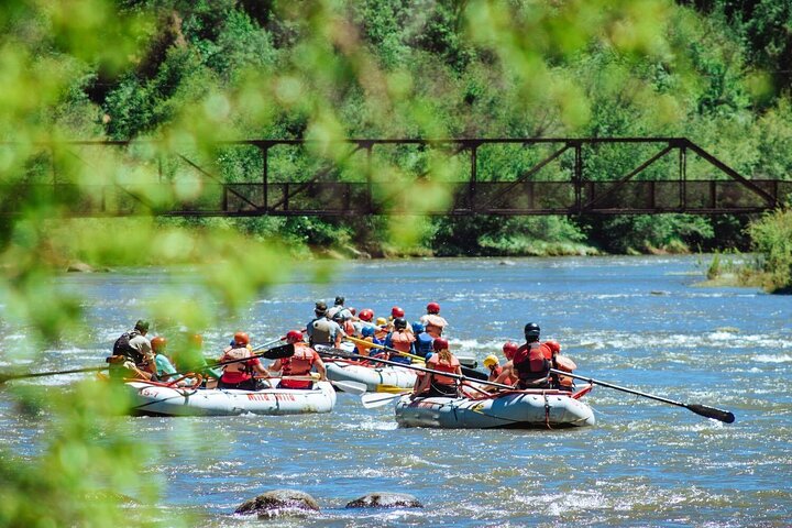 Durango Half Day Rafting Trip - Lower Animas River
