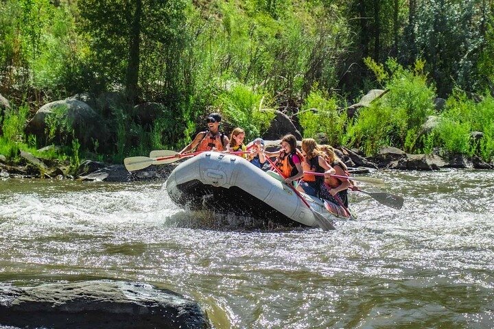 Durango Half Day Rafting Trip - Lower Animas River