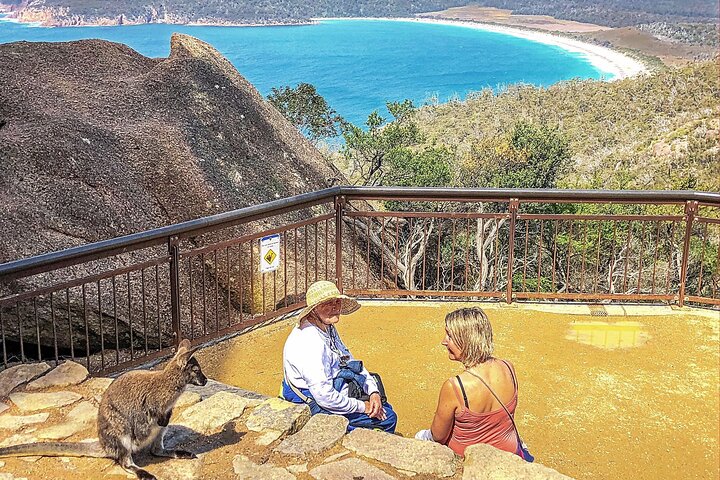 Wineglass Bay & Freycinet NP Full Day Tour from Hobart via Richmond Village