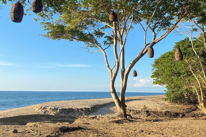 Hike and Yoga Jungle Experience in Mexico