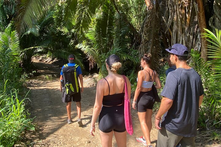 Hike and Yoga Jungle Experience in Mexico