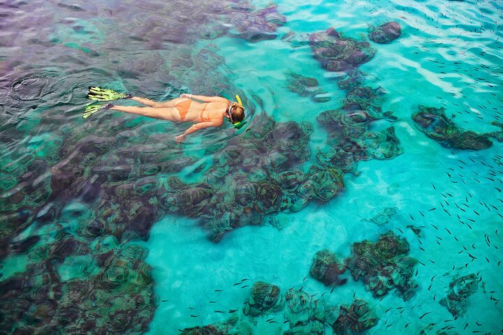 Kona Snorkel Tour: Captain Cook Reef Snorkel, Dolphin & Sea Caves