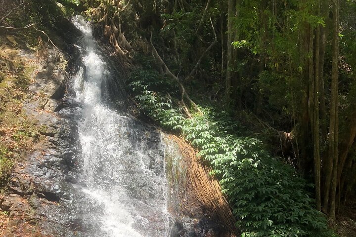 Private Group Tour Brisbane & Gold Coast Personal Tours