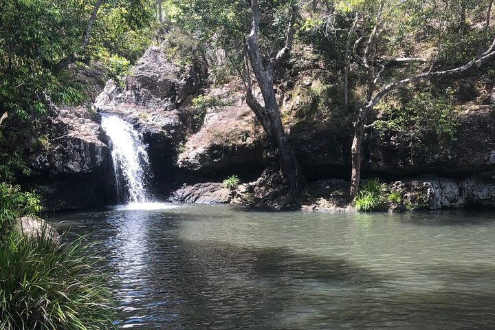 Private Group Tour Brisbane & Gold Coast Personal Tours
