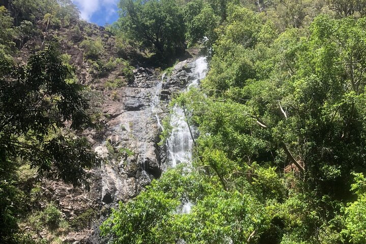 Private Group Tour Brisbane & Gold Coast Personal Tours