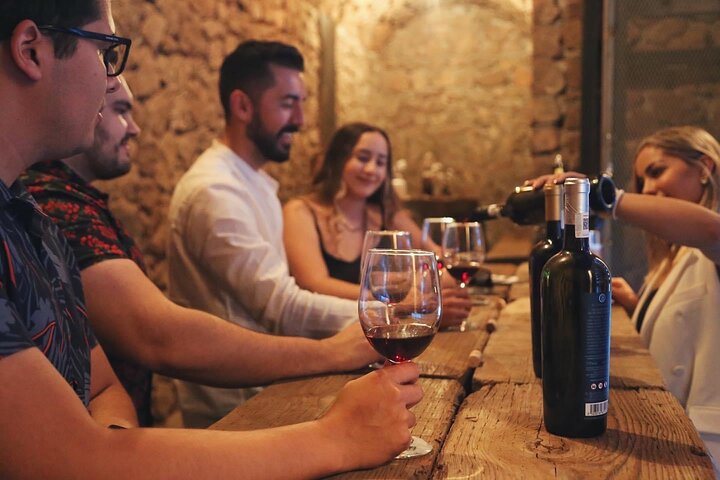 Wine tasting Valle de Guadalupe & Casa Frida