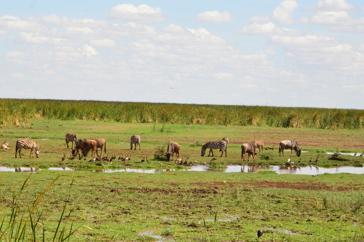 4 Days Group Camping Safari