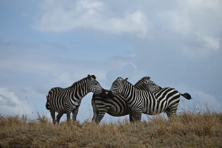 4 Days Group Camping Safari