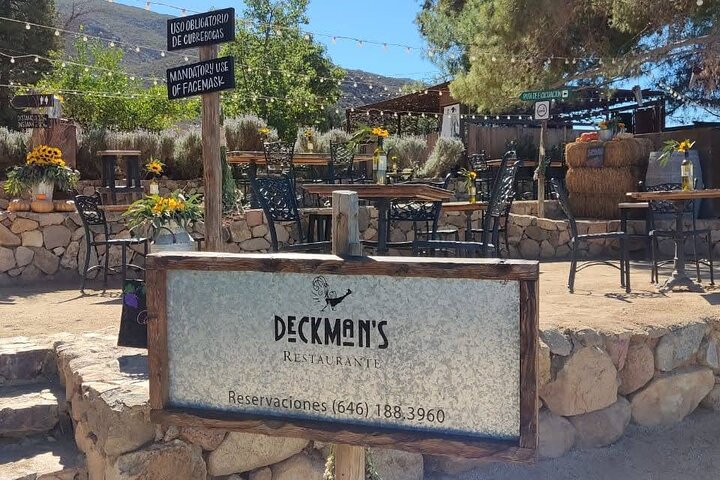 Premium Valle de Guadalupe Wine and Food Tour