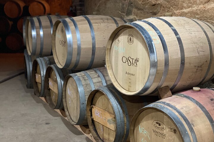 Premium Valle de Guadalupe Wine and Food Tour