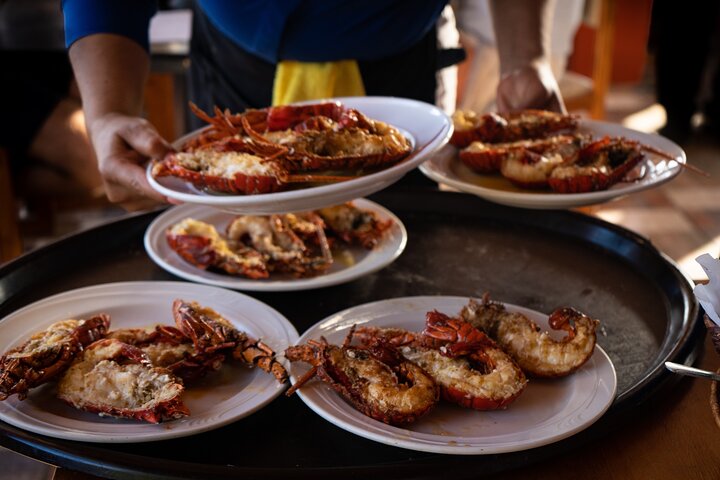 Premium Valle de Guadalupe Wine and Food Tour