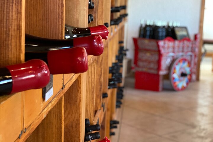 Premium Valle de Guadalupe Wine and Food Tour