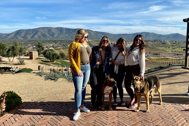 Premium Valle de Guadalupe Wine and Food Tour