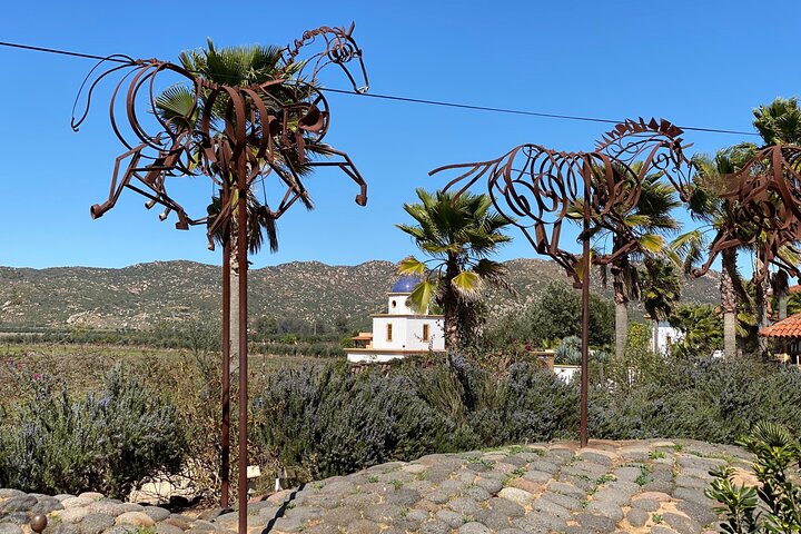 Premium Valle de Guadalupe Wine and Food Tour