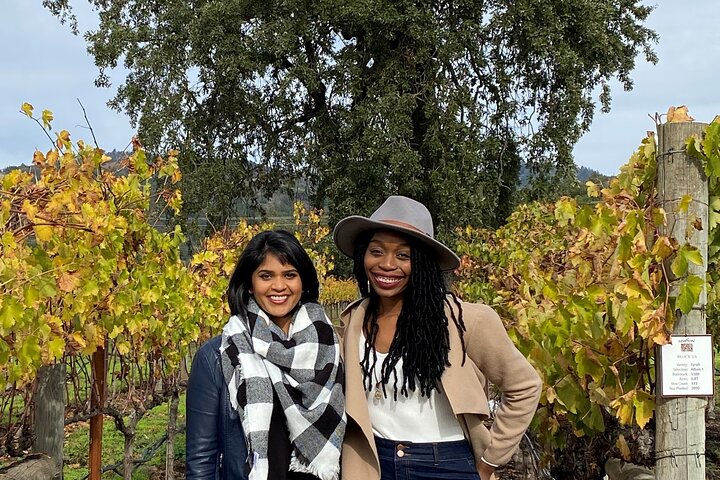 Sonoma County Join-In Group Wine Tasting Tours