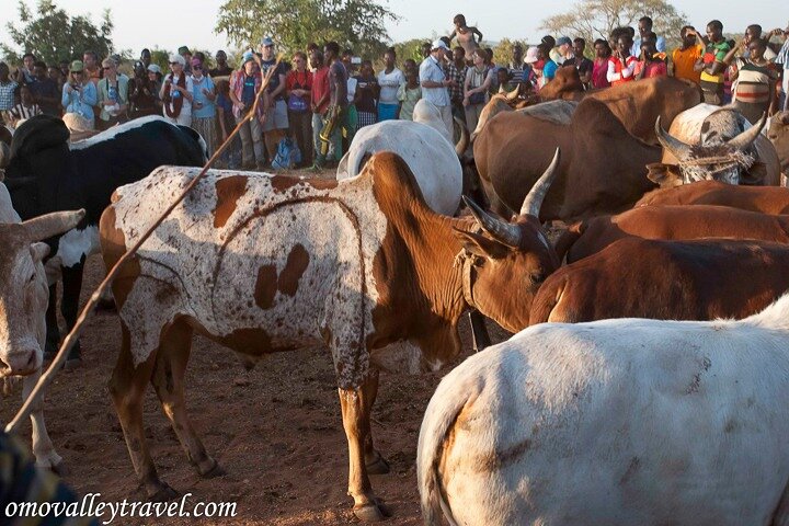 Omo Valley Tours from Jinka
