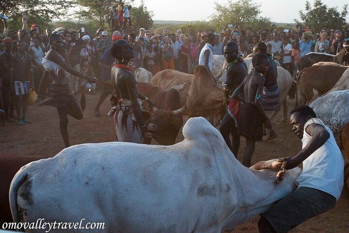 Omo Valley Tours from Jinka