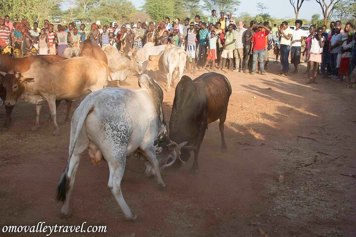 Omo Valley Tours from Jinka