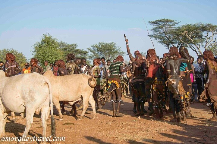 Omo Valley Tours from Jinka