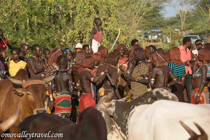 Omo Valley Tours from Jinka