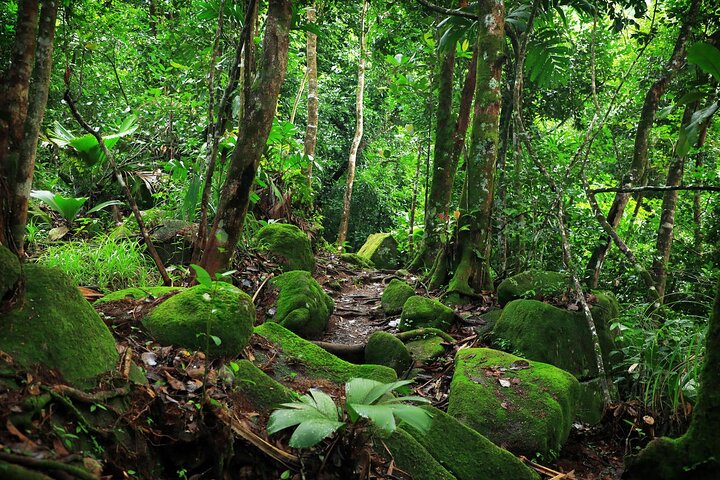 Nature trail - Morne Blanc (Mahe)