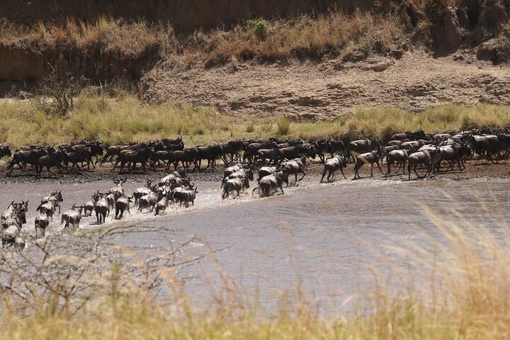 5 Days Group Camping Safari