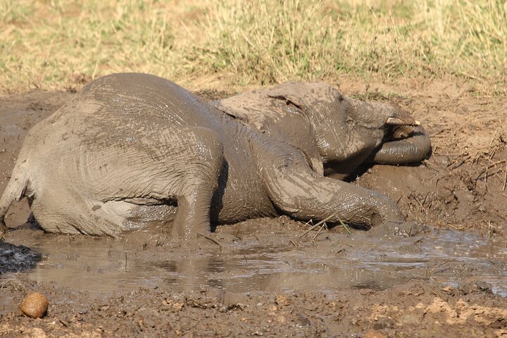 5 Days Group Camping Safari