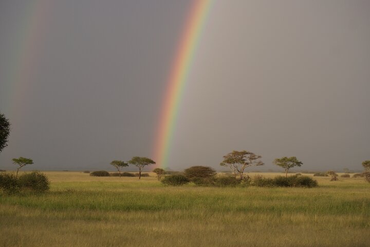 4 Days Group Camping Safari