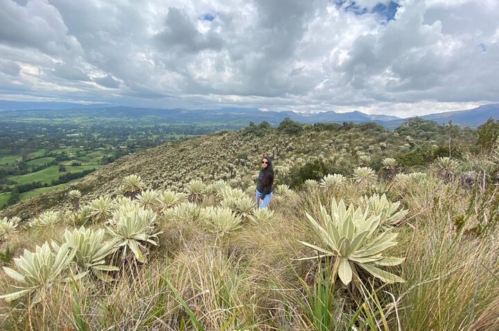 Tour to the Carnival of Blacks and Whites of Pasto 7 days