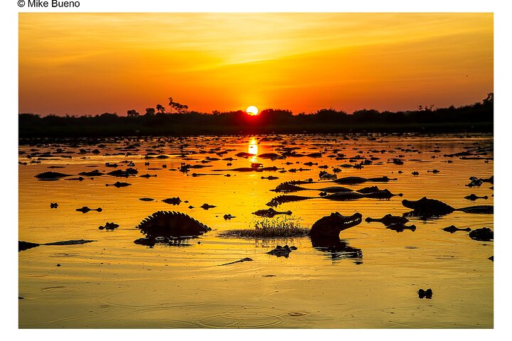 8 Days Jaguars and Pantanal Safari tour