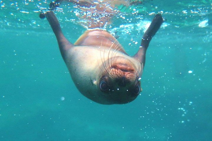Day Tour to Santa Fe Island and Hidden Beach with snorkeling and fishing