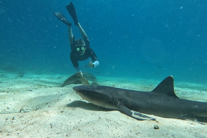 Day Tour to Santa Fe Island and Hidden Beach with snorkeling and fishing