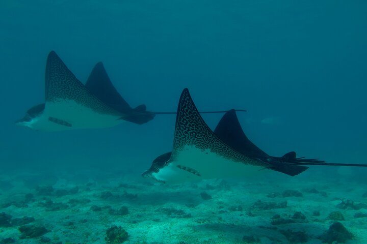 Day Tour to Santa Fe Island and Hidden Beach with snorkeling and fishing