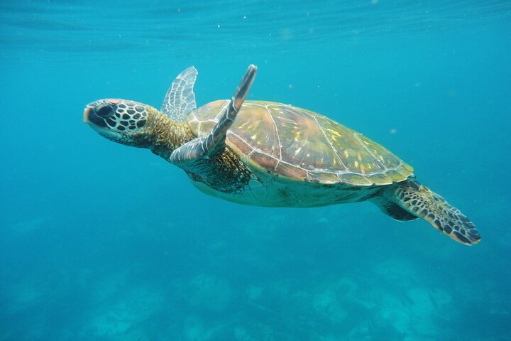Day Tour to Santa Fe Island and Hidden Beach with snorkeling and fishing