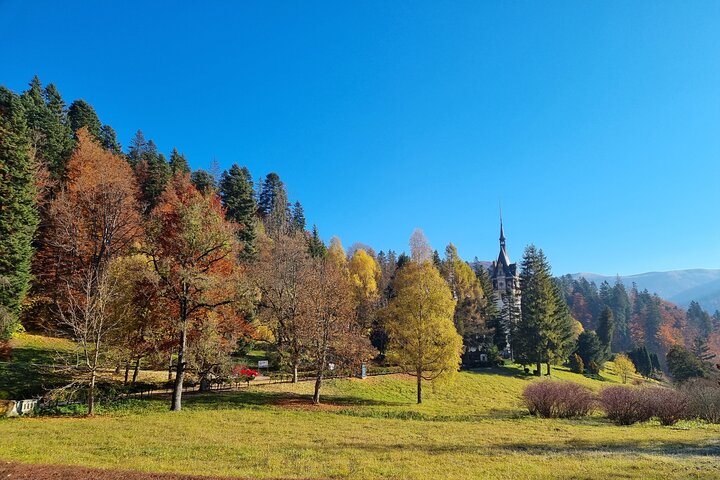 Dracula's Castle, Peles Castle and Brasov - Private Day Trip from Bucharest
