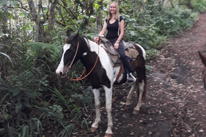 2 Hours Small-Group Horseback Riding Experience in Banos