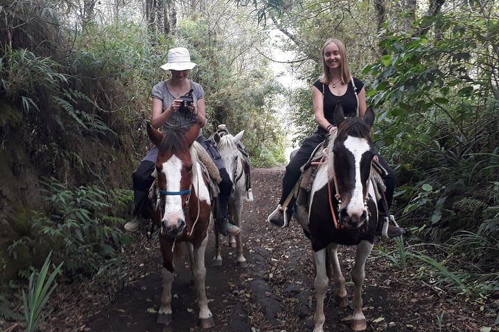 2 Hours Small-Group Horseback Riding Experience in Banos